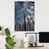 Poster Tulip peupliers Ciel bleu nuageux (Bureau à domicile)