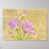Poster Tulip Purple Garden Notes 7x5