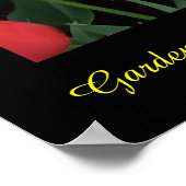Poster Tulip Rainbow (Coin)