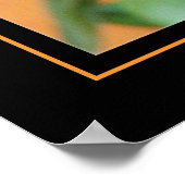 Poster TULIPA (Coin)