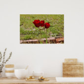Poster tulipe99 (Cuisine)