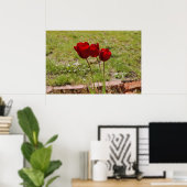 Poster tulipe99 (Bureau à domicile)