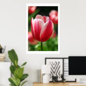 Poster Tulipe au printemps (Bureau à domicile)
