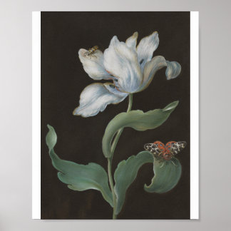 Poster Tulipe avec une Arctiide par B. R. Dietzsch