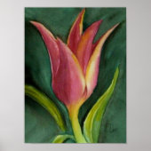 Poster Tulipe Blade (Devant)