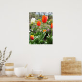 Poster Tulipe blanche rouge Tulipe printemps Nature Poste (Cuisine)
