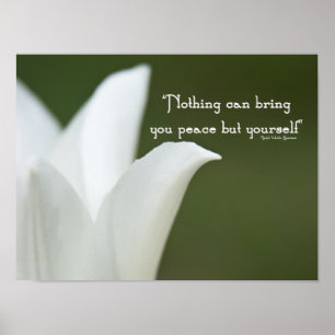 Poster Tulipe de la paix