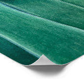 Poster Tulipe de perroquet (Coin)