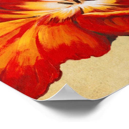 Poster Tulipe de perroquet I (Coin)