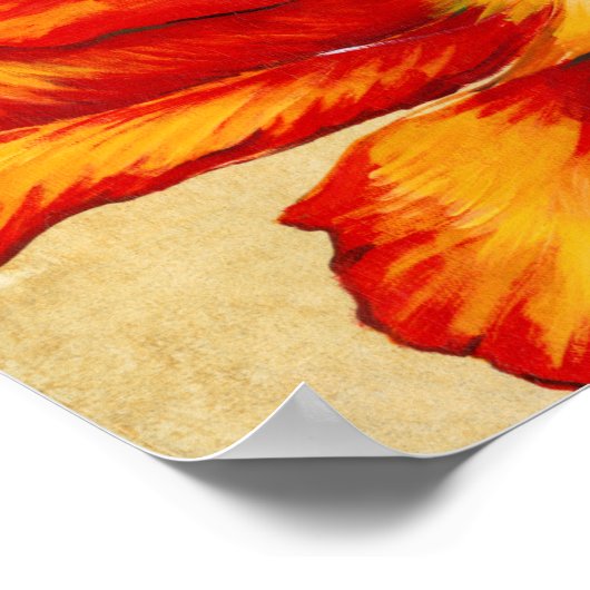 Poster Tulipe de perroquet II (Coin)