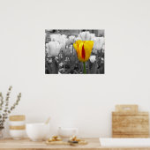 Poster Tulipe de secours (Cuisine)
