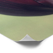 Poster Tulipe Fleur Violet Foncé (Coin)