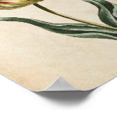 Poster Tulipe florale vintage Imprimer (Coin)