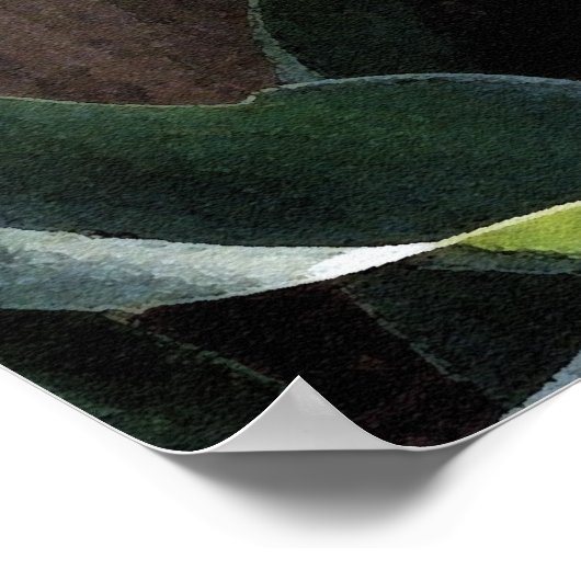 Poster Tulipe jaune (Coin)