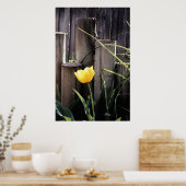 Poster Tulipe jaune (Cuisine)