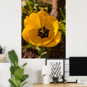 Poster Tulipe jaune macro printemps (Bureau à domicile)