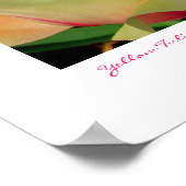 Poster Tulipe jaune par Linda Becker PhotoArt (Coin)