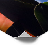Poster Tulipe orange, Ciel bleu (Coin)