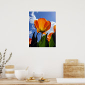 Poster Tulipe orange, Ciel bleu (Cuisine)