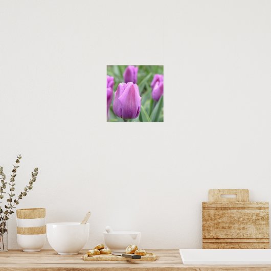 Poster Tulipe pourpre (Cuisine)