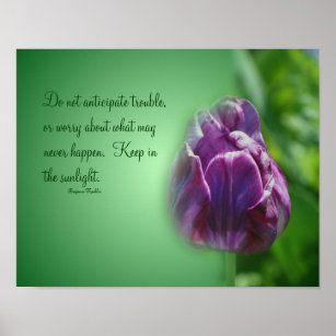 Poster Tulipe pourpre Attitude de vie Citation Inspiratio