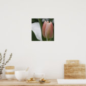 Poster Tulipe rose en neige (Cuisine)