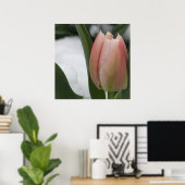 Poster Tulipe rose en neige (Bureau à domicile)