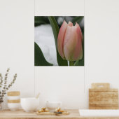 Poster Tulipe rose en neige (Cuisine)