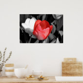 Poster Tulipe rouge (Cuisine)