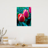 Poster Tulipe rouge (Cuisine)