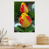 Poster tulipe rouge jaune (Cuisine)