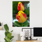 Poster tulipe rouge jaune (Bureau à domicile)