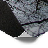 Poster Tulipe spectaculaire peupliers Ciel bleu nuageux (Coin)