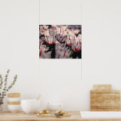 Poster Tulipes (Cuisine)