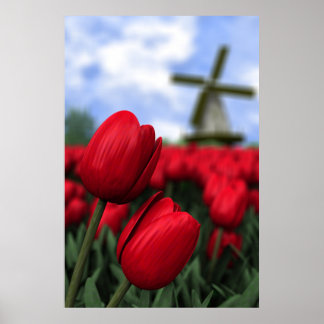 Poster Tulipes