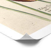 Poster Tulipes (Coin)