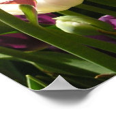 Poster tulipes (Coin)