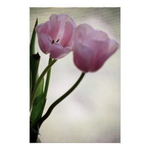 Poster Tulipes 3265