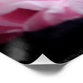 Poster Tulipes 3273 (Coin)
