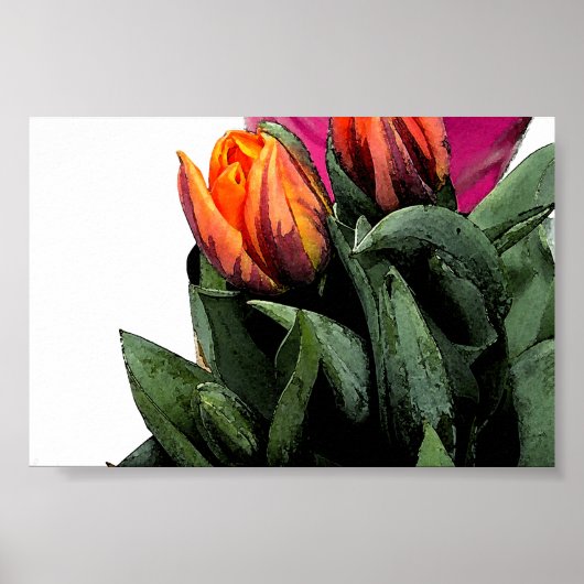 Poster Tulipes à nouveau (Devant)