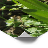Poster Tulipes au soleil Imprimer (Coin)