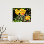 Poster Tulipes au soleil Imprimer (Cuisine)