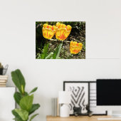 Poster Tulipes au soleil Imprimer (Bureau à domicile)
