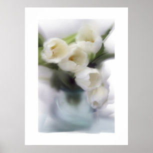 Poster Tulipes blanches