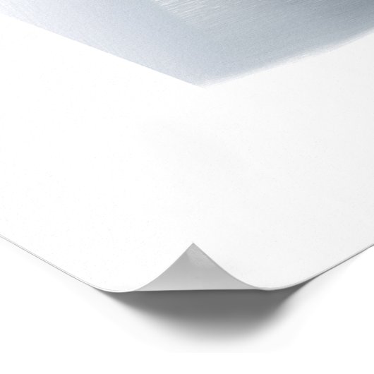 Poster Tulipes blanches (Coin)