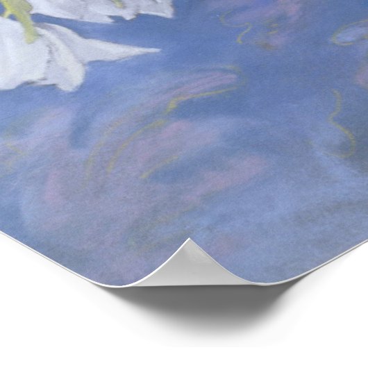 Poster Tulipes blanches (Coin)