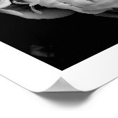 Poster Tulipes blanches sur Arrière - plan noir (Coin)