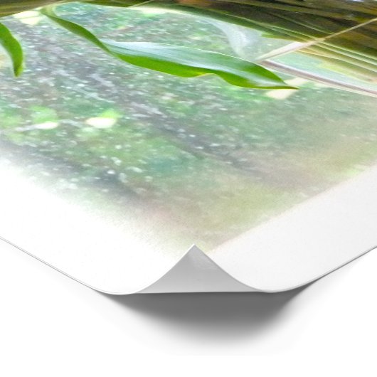 Poster Tulipes colorées (Coin)