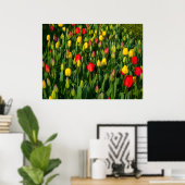 Poster Tulipes colorées (Bureau à domicile)