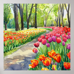 Poster Tulipes dans le parc